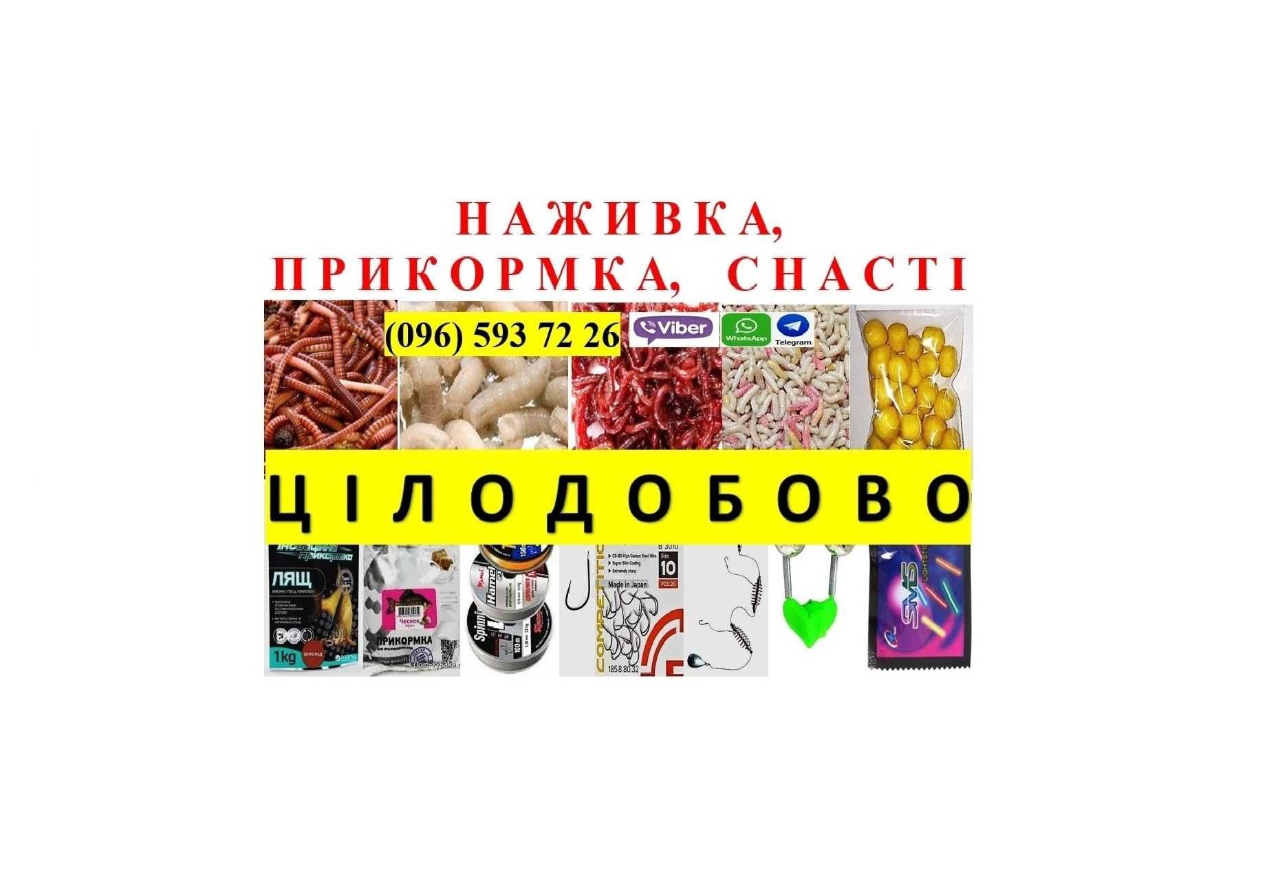 Для рыбалки круглосуточно: Наживка, Черви, Опарыш, Прикормка, Снасти.