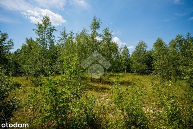 Myślenice – Siepraw – Działka budowlana i leśna –