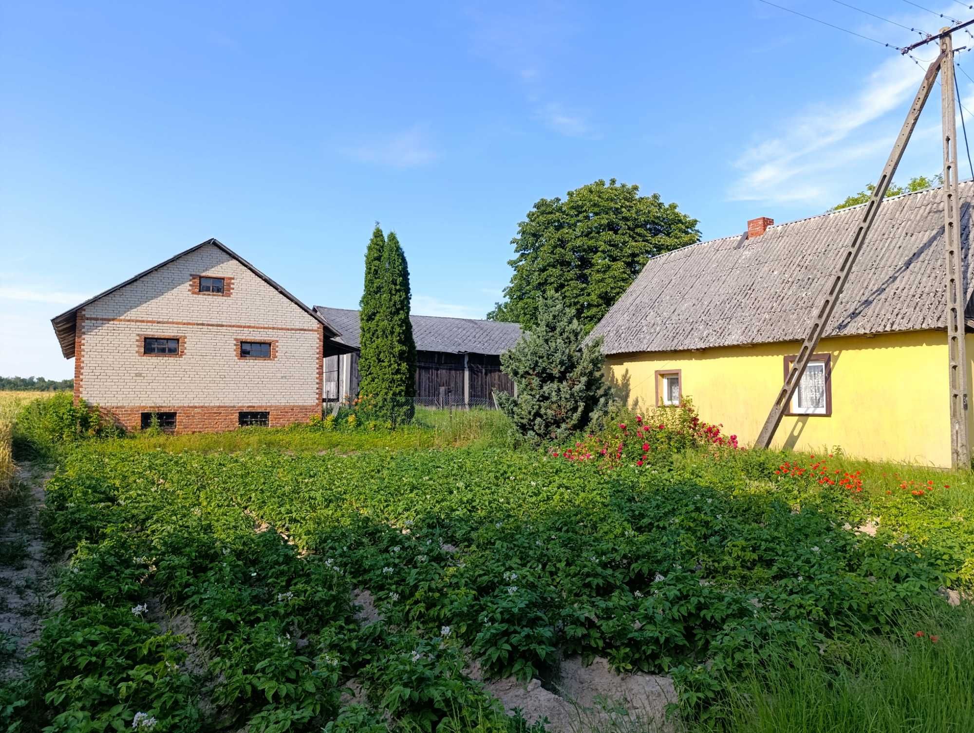 Siedlisko Bielecha