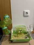 Vendo gaiola de hamster e hamsters