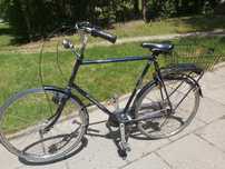 Rower Gazelle Primeur