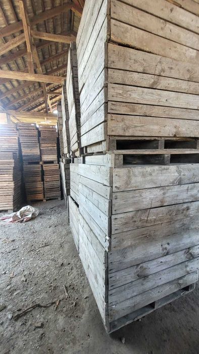 Skrzyniopalety drewniane na warzywa owoce drewno, solidne 250 szt.