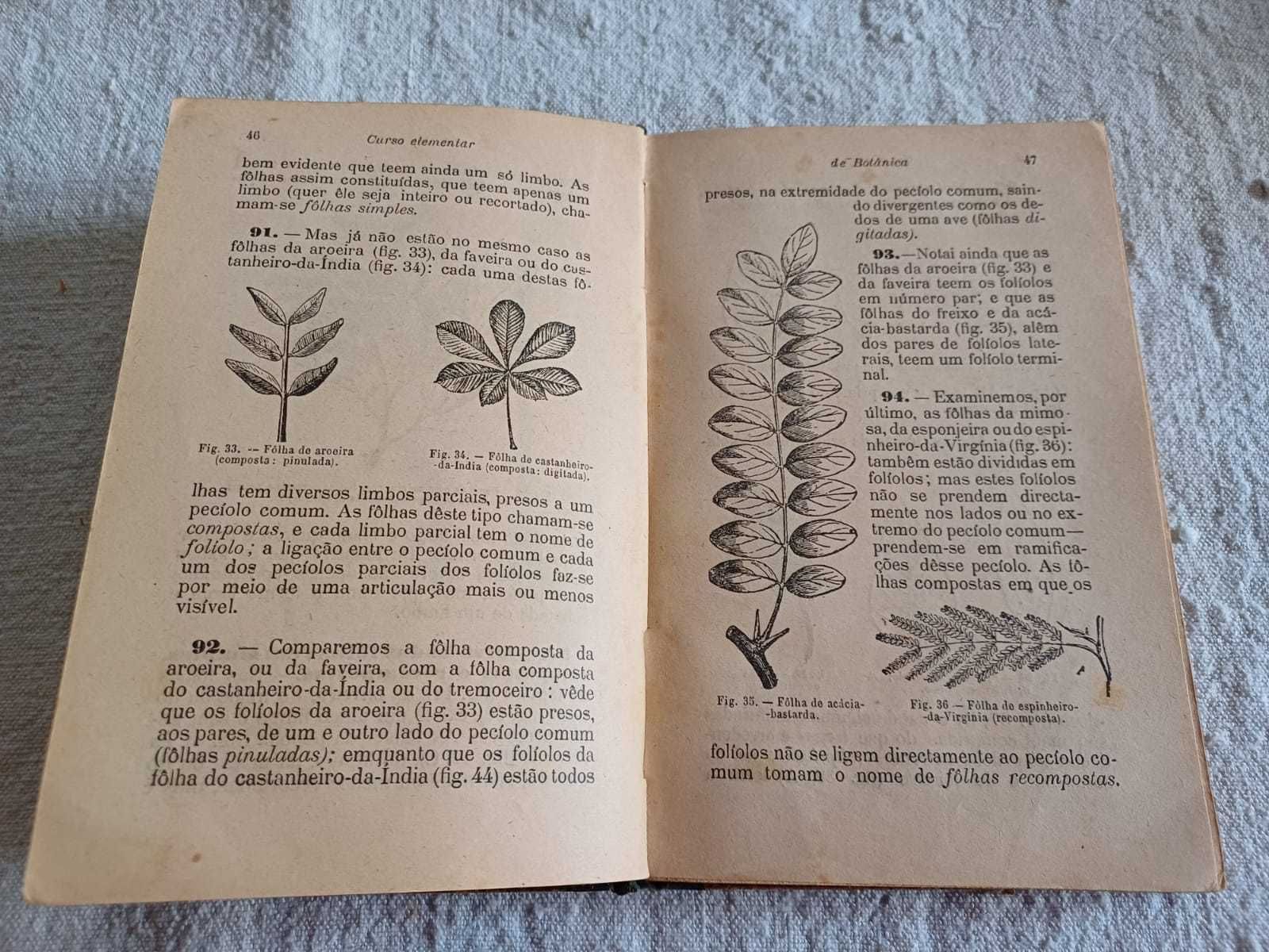 Curso Elementar de Botânica, António Xavier Pereira Coutinho,1921,8ªed
