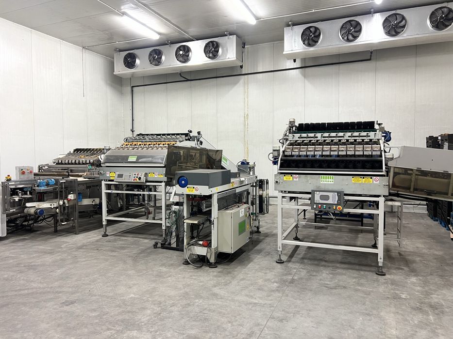 Linia do pakowania w torebki sorma sortownica