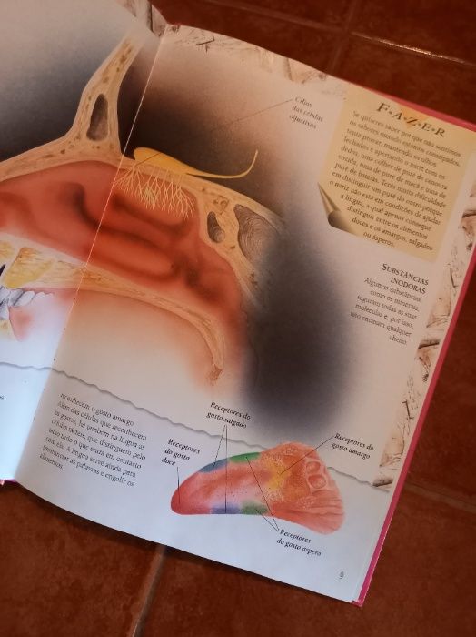 Enciclopédia Ilustrada O Corpo Humano