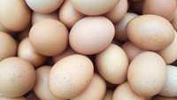 Świeże duże jaja kurze, jajka ekologiczne, jaja wiejskie