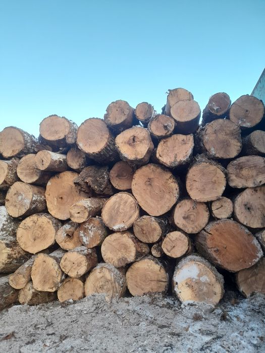 Дрова твердих порід від одного складометра