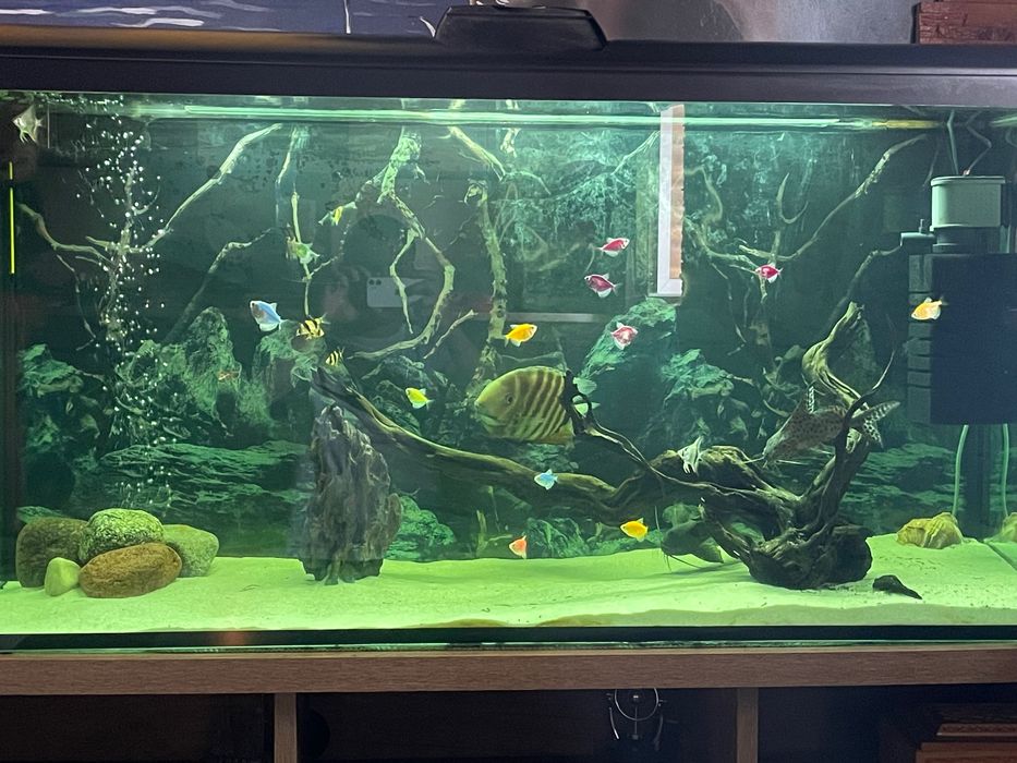 Продам аквариум .