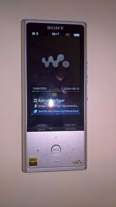 Sony Walkman | NW-ZX100HN | Odtwarzacz MP3 | 128GB | Stan Idealny