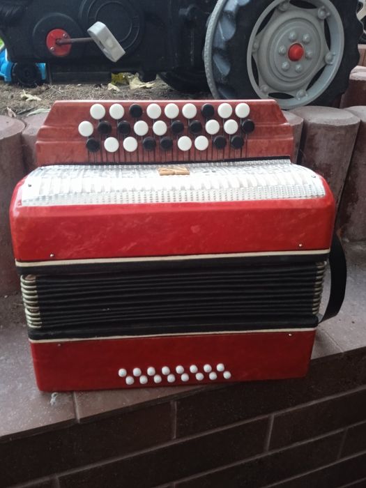 Akordeon guzikowy dla dziecka