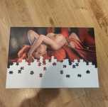 Puzzle Triss wiedzmin