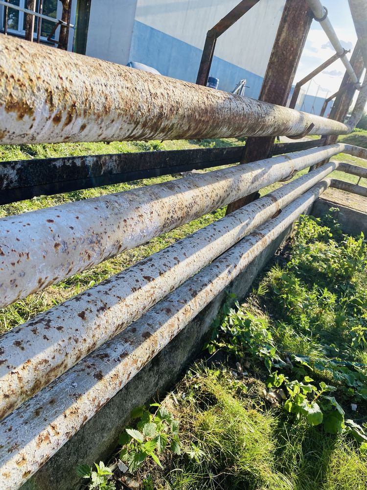 Rury rura grubościenne ogrodzenie płot pastuch słupek byki krowy konie