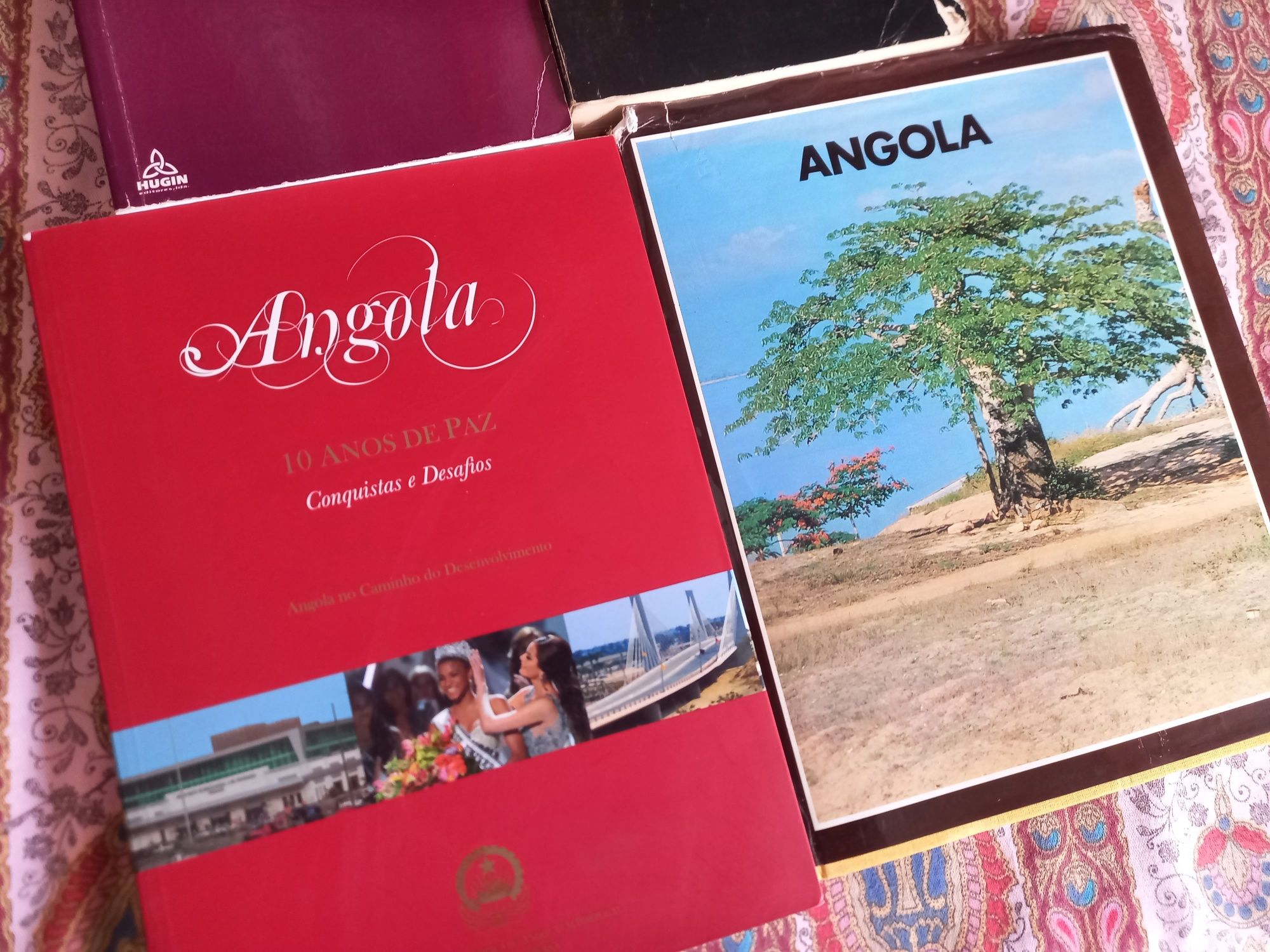 Lote de livros sobre história de Angola