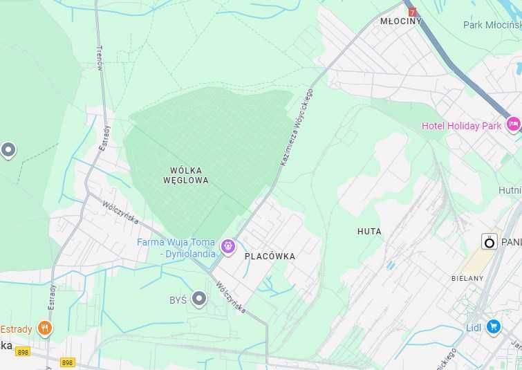 Duży dom do wynajęcia 10 pokoi idealny dla firmy - Wólka Węglowa