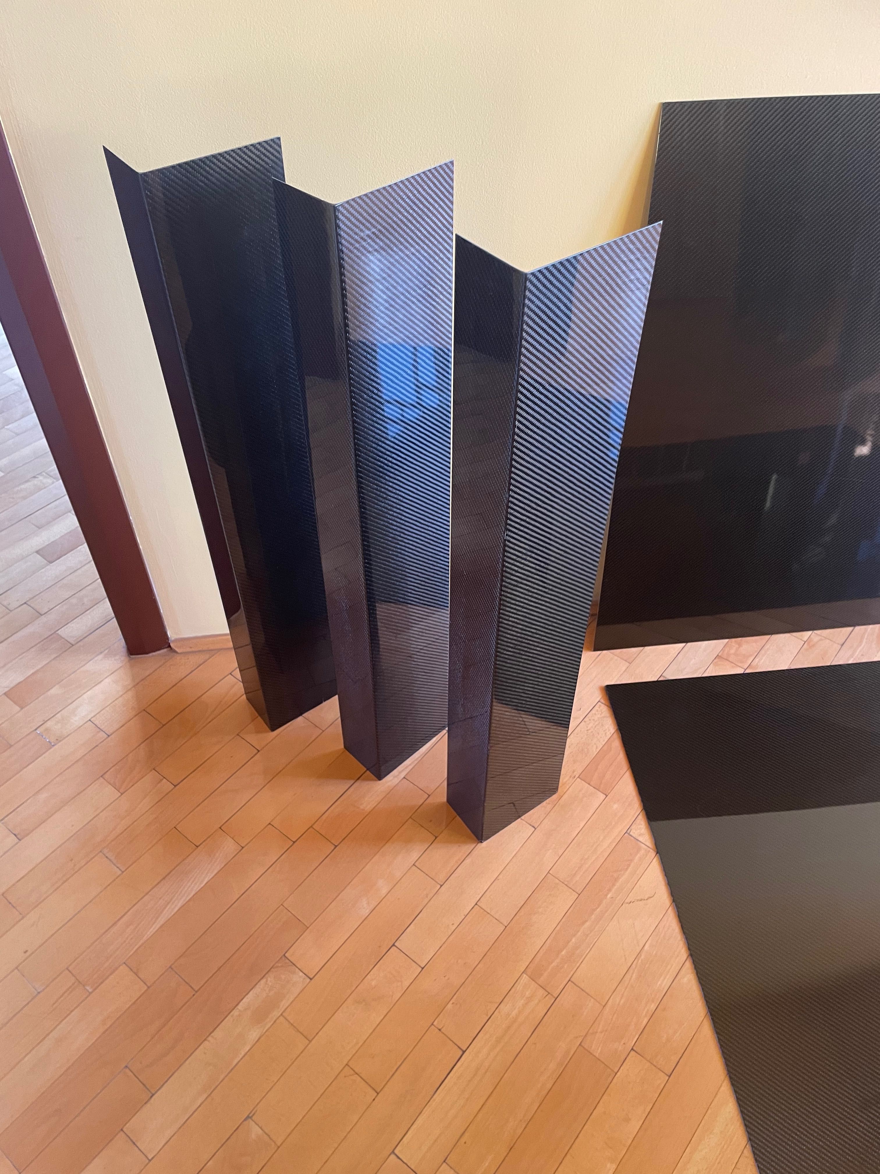 Nowe Schody CARBON Unikat