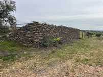 Terreno Amareleja