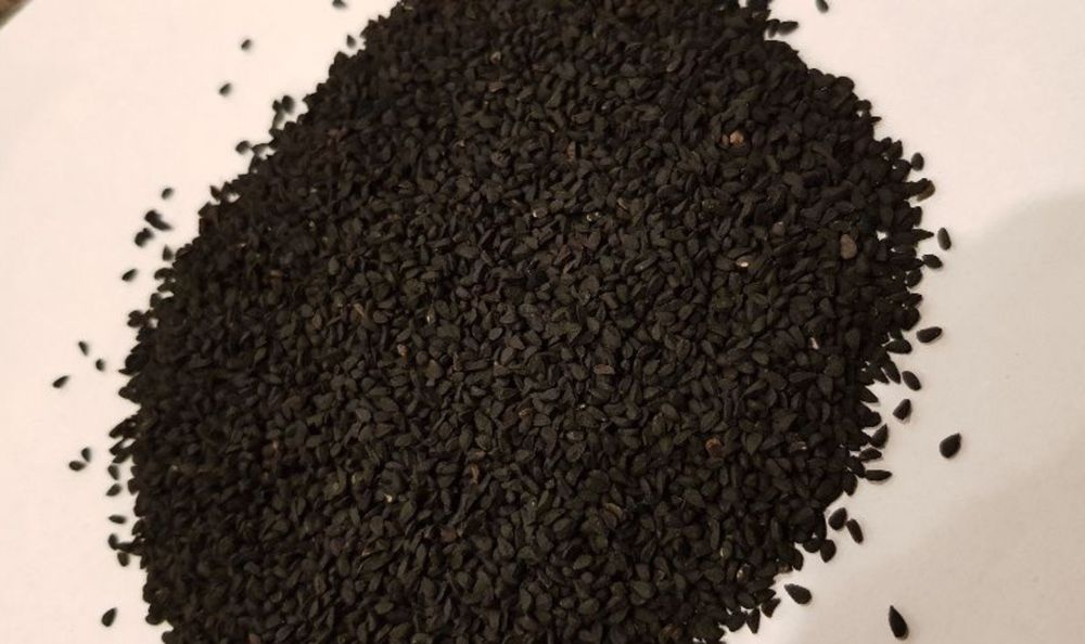 Czarnuszka Indyjska, Bardzo dobra na Olej, Wysyłka