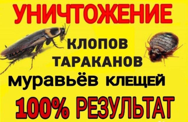 Знищення тарганів, клопів, щурів! Дезинфекція з 100% гарантією!