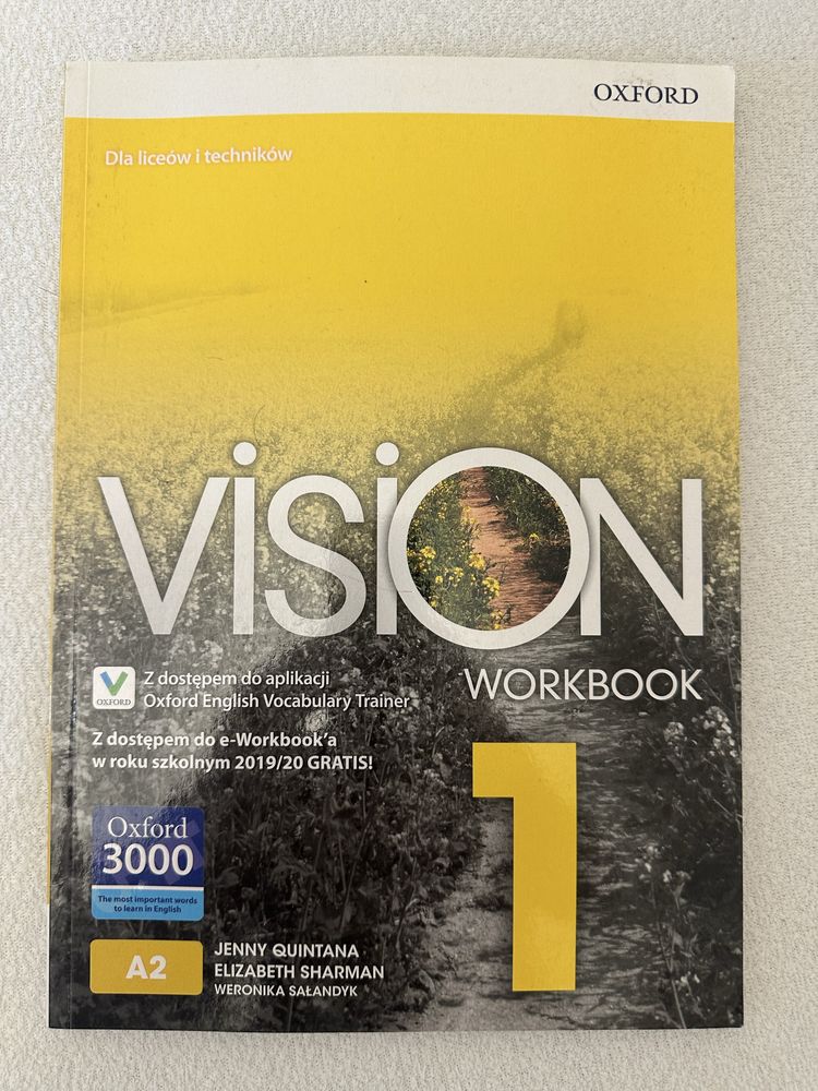 Vision 1