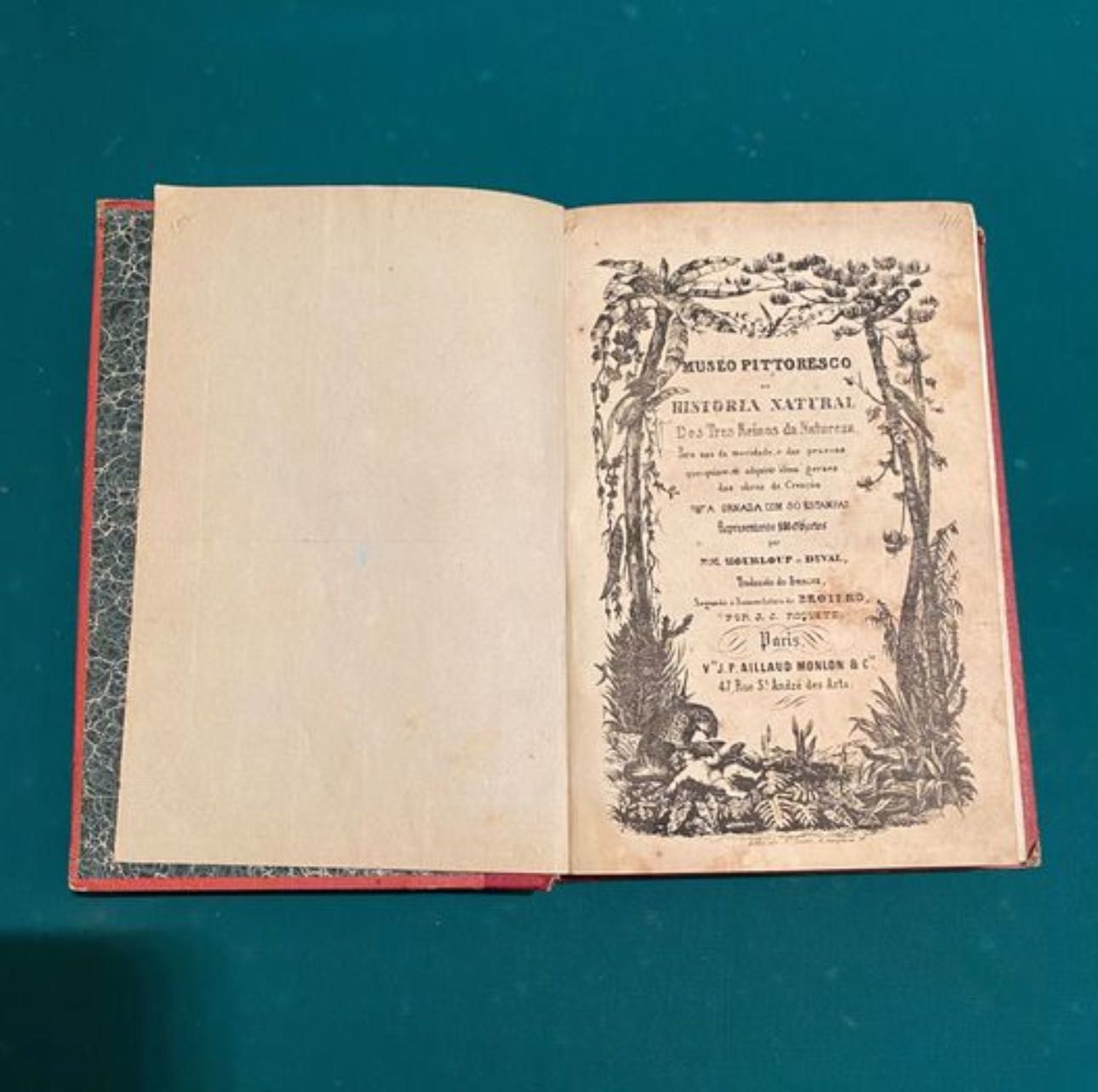 Lote de Livros Raros