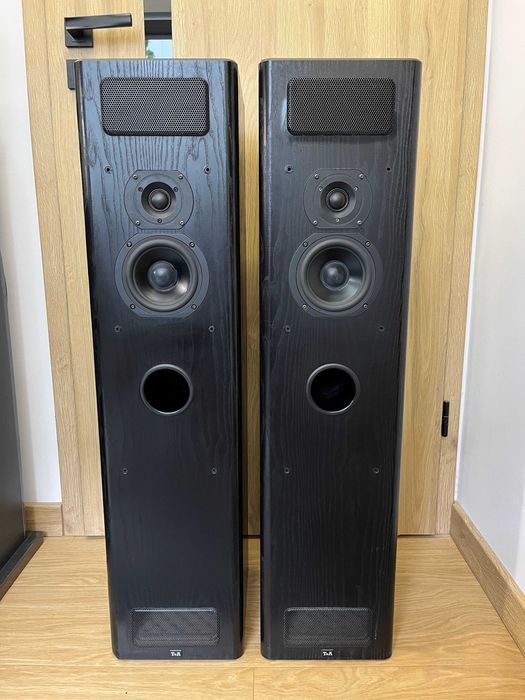 T+A Criterion TB100 linia transmisyjna + bandpass, świetne brzmienie!