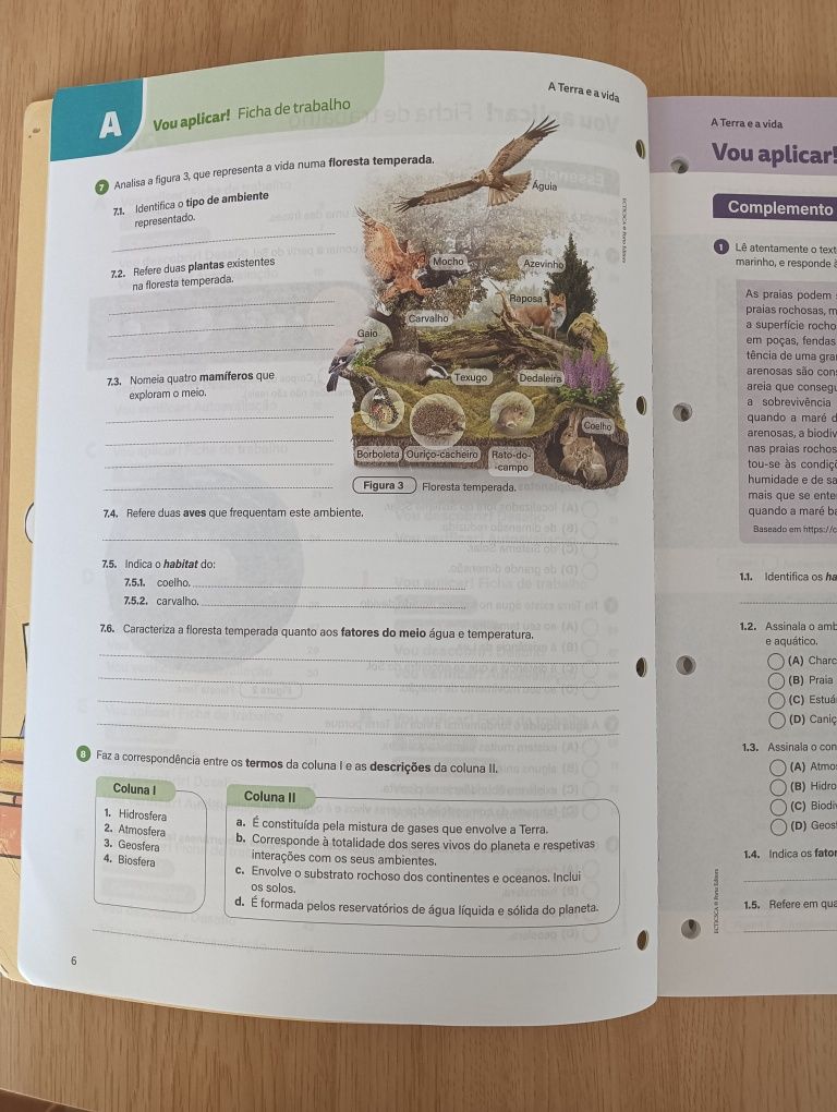 Caderno de fichas EcoCienTic 5°