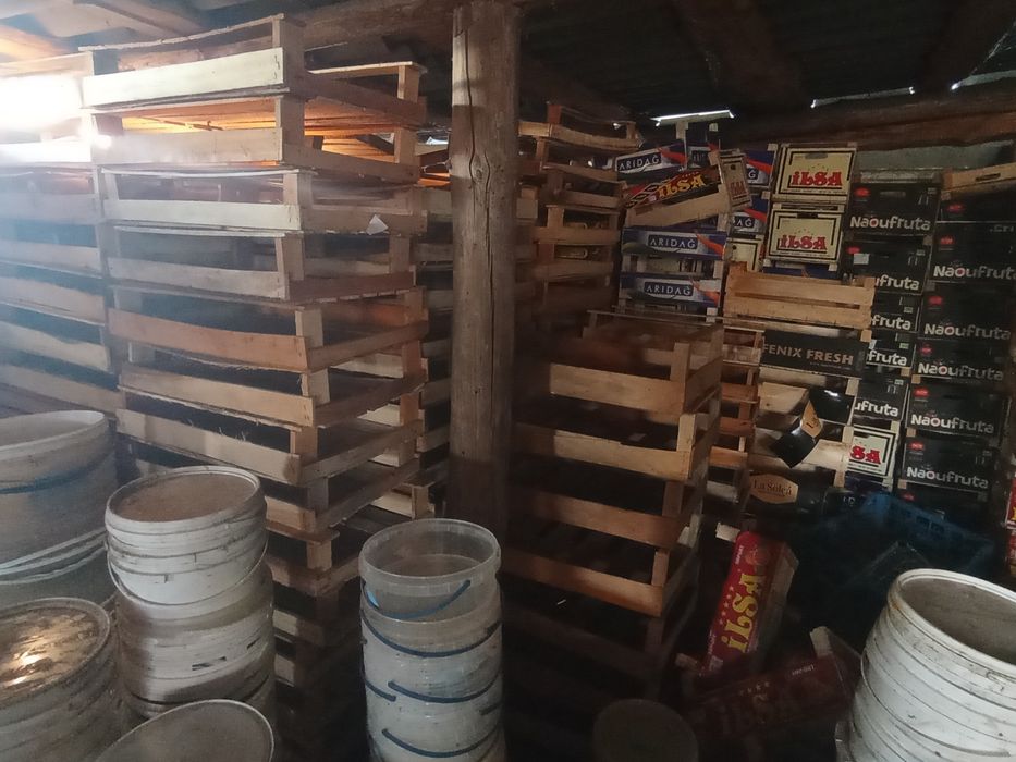 Продам ящики пластикові дерев'яні