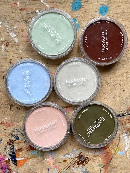 Zestaw PanPastel 6 kolorów + aplikator Sofft gratis