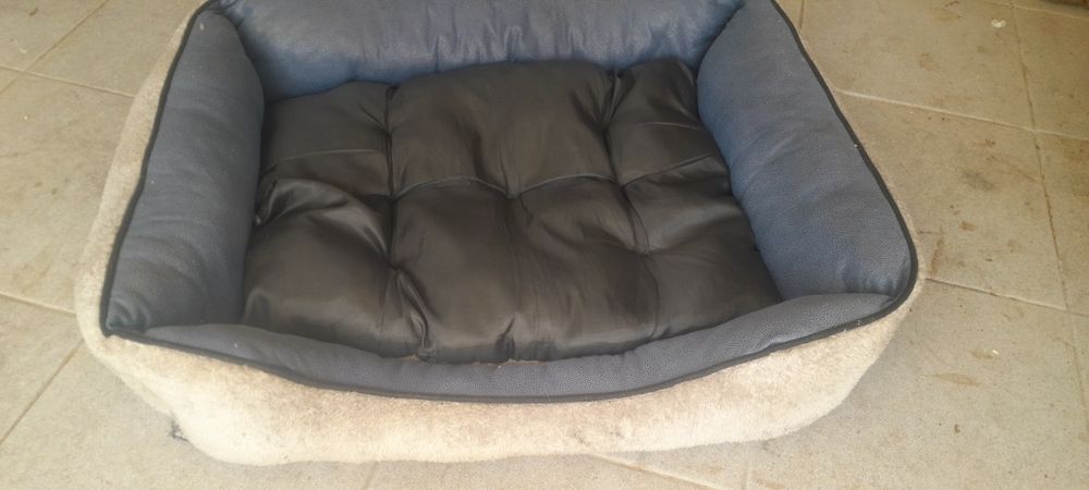 Cama de cao medio
