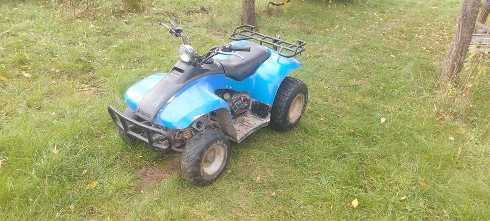 квадроцикл Е-ТРОN