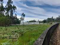 Terreno para construção em Galegos (Santa Maria) - Barcelos