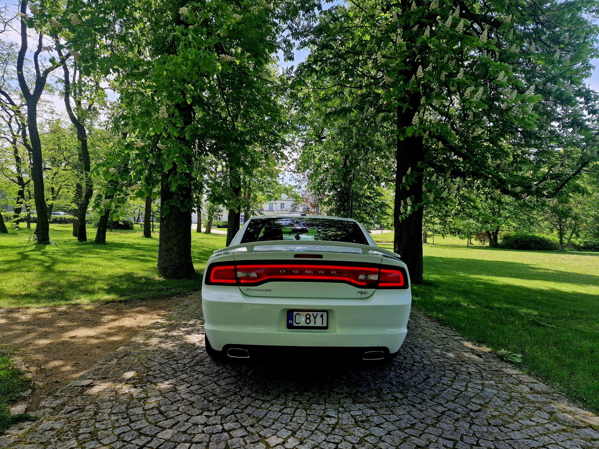 Auto do ślubu Dodge Charger V8