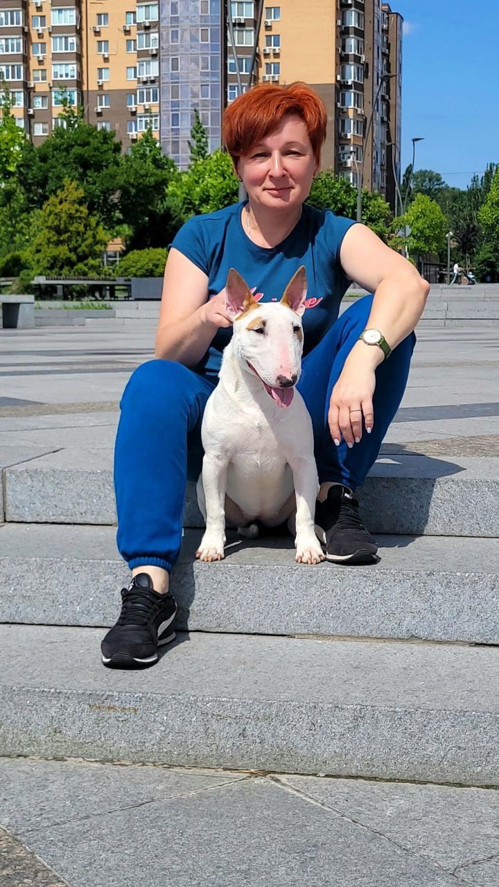 Мінібультер'єр вихована дівчинка