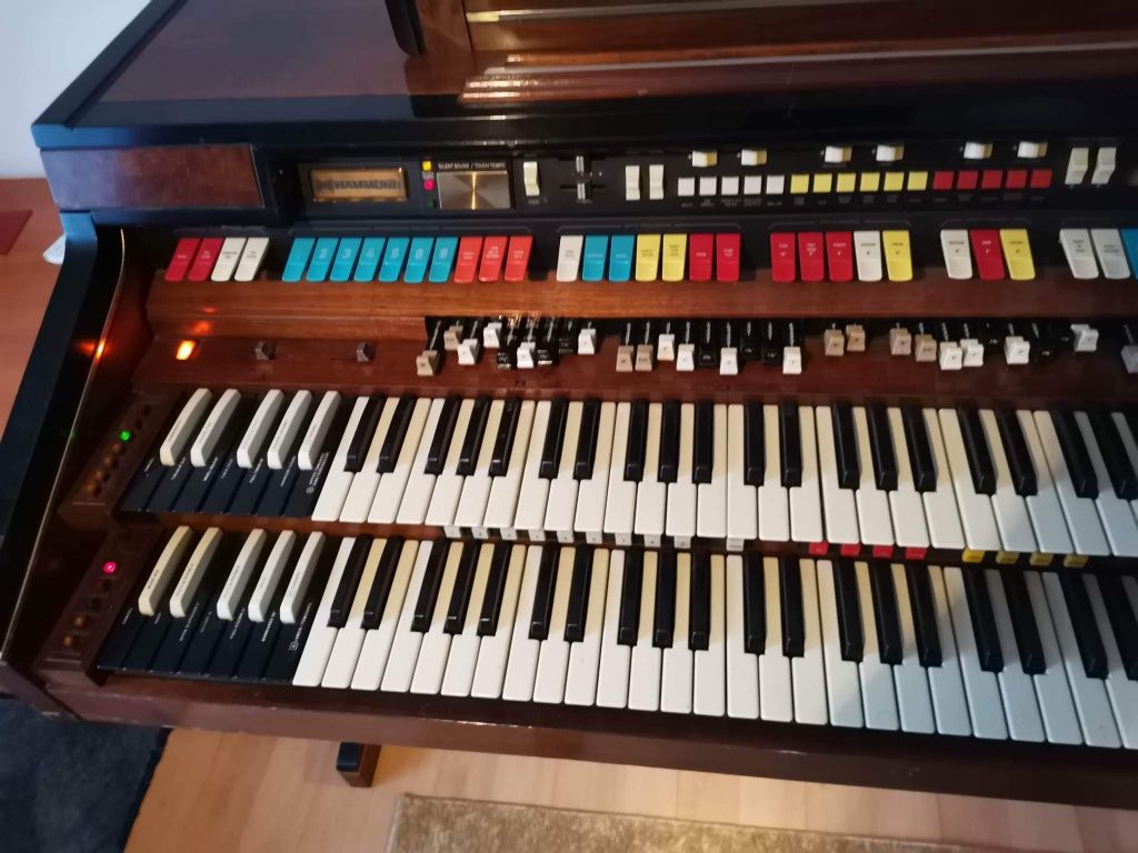 Hammond Elegante wyprzedaż kolekcji