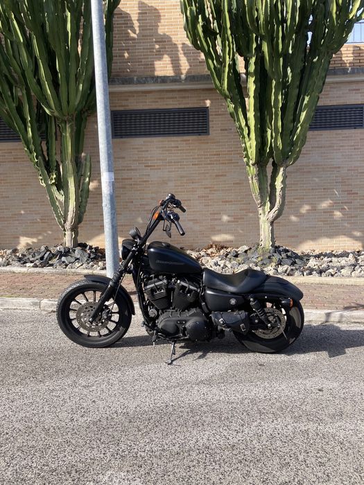 harley davidson iron