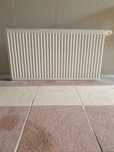 Grzejnik stalowy panelowy boczny  PURMO 600 × 1100 biały
