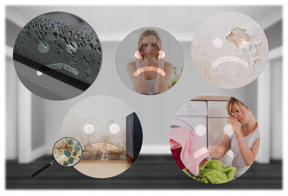 Осушувач повітря з поглиначем вологи DH-800 чорний