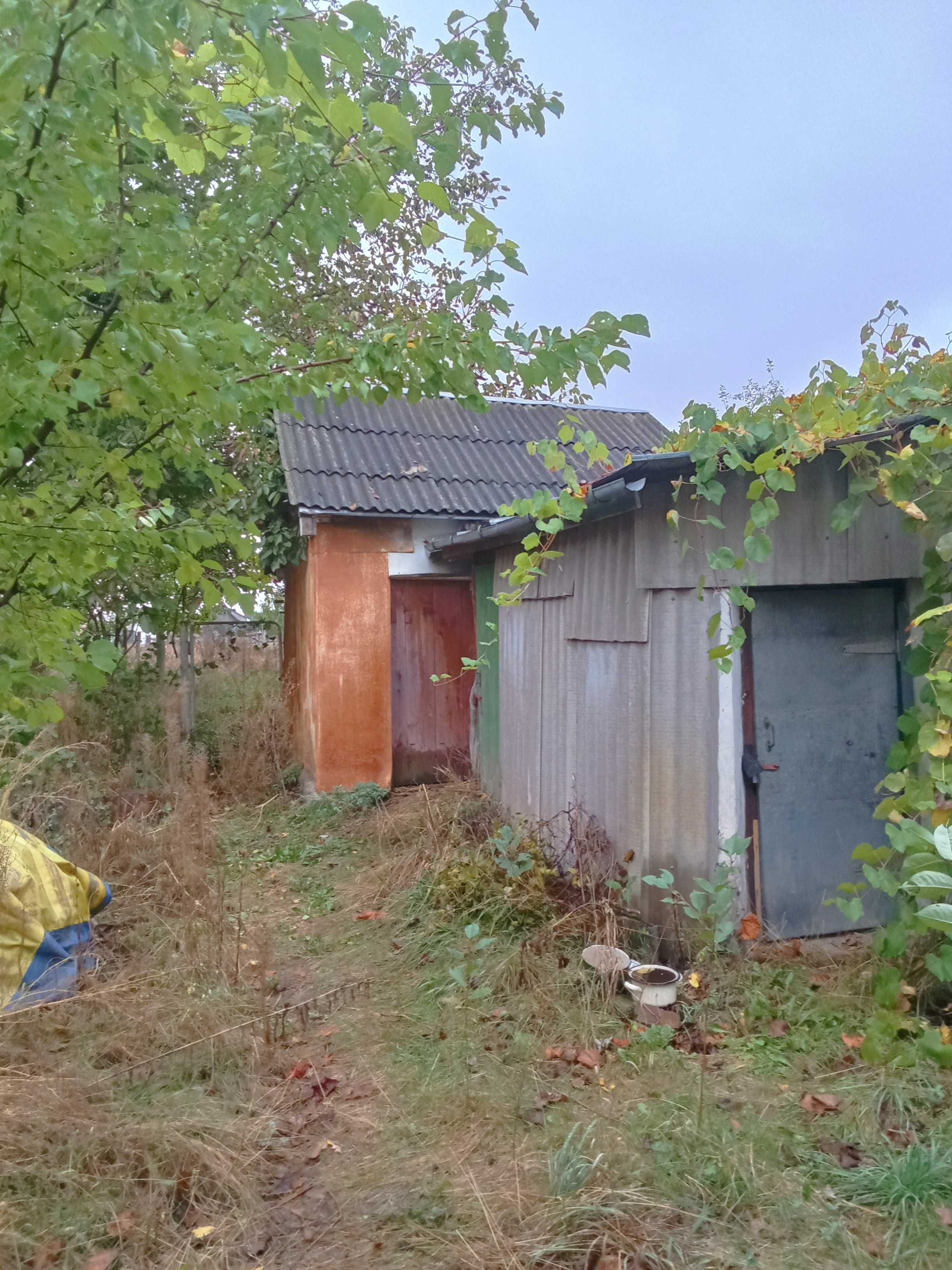 с.Бишів, Фастівський (раніше Макарівський) район, житловий будинок