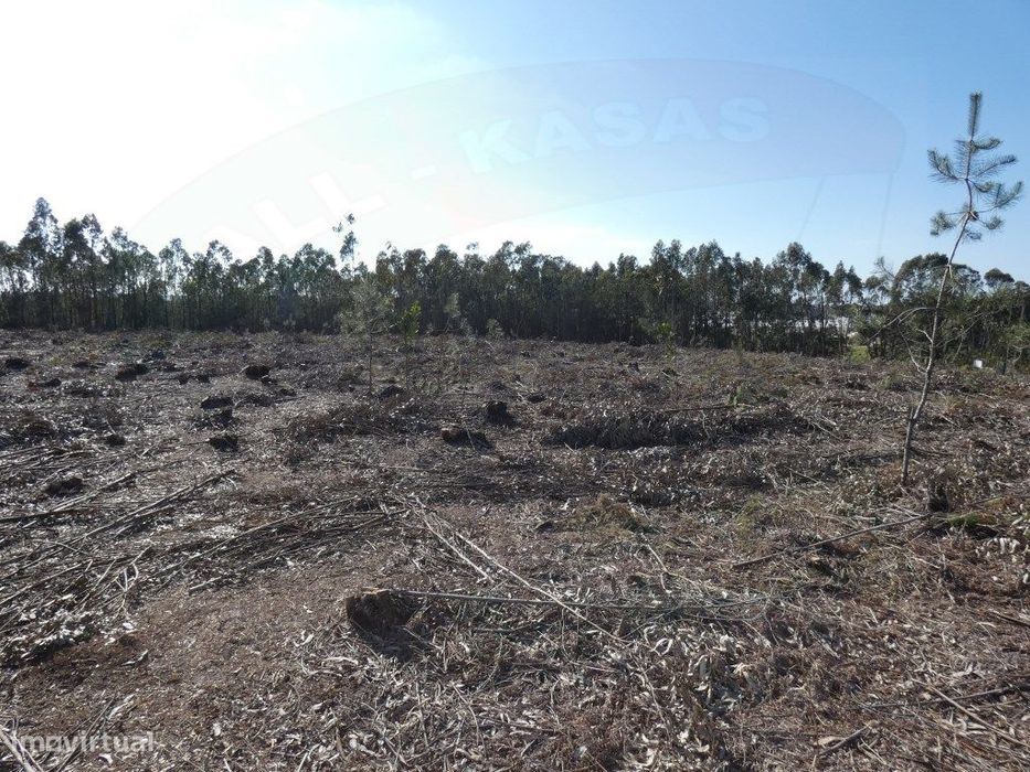 Terreno, Silveira, Cerca, Torres Vedras