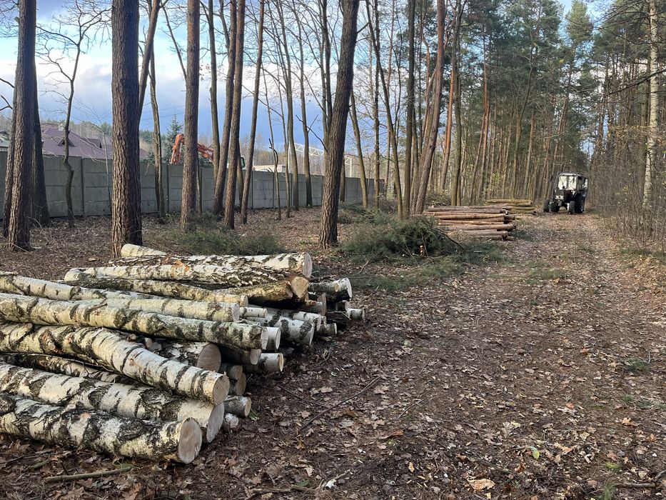 Mulczowanie usuwanie zakrzaczen samosiejek wycinka drzew czyszczenie