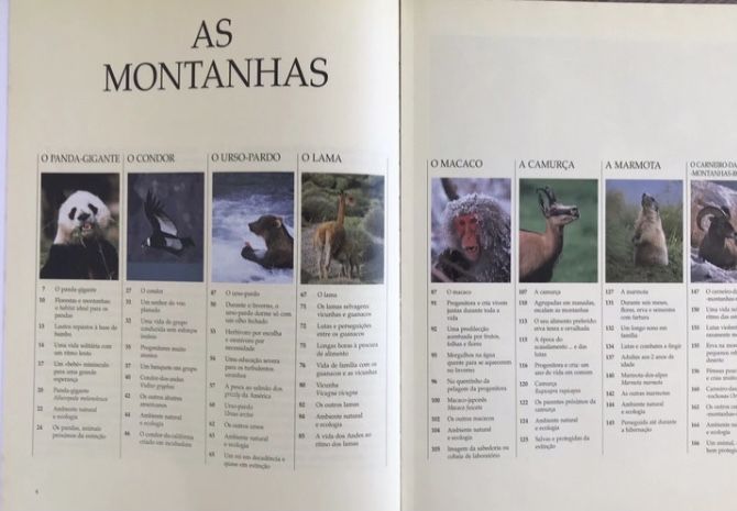 Animais das montanhas