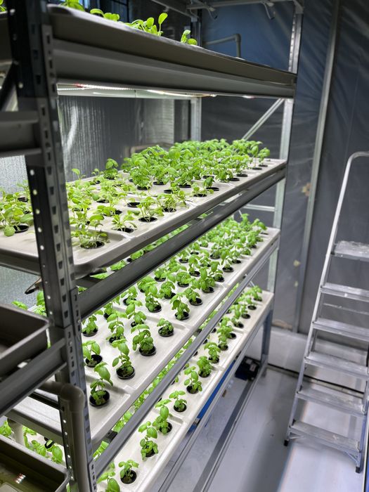 Лотки для гідрапоніки 195 см на 70 см