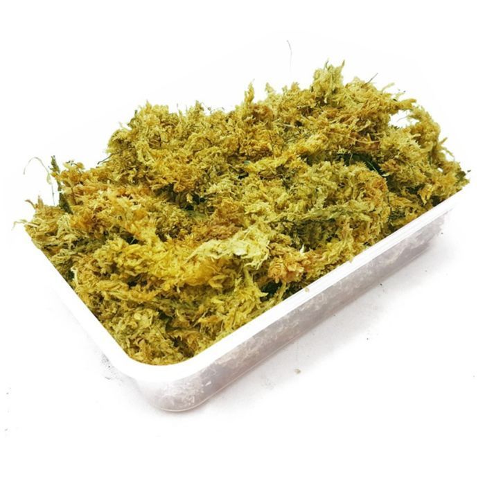 Repti-Zoo Chile's Sphagnum Moss - Mech Torowiec 4,5L Do Terrarium