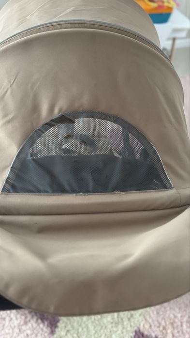 Прогулянкова коляска Carrello Bravo 2024 бежева