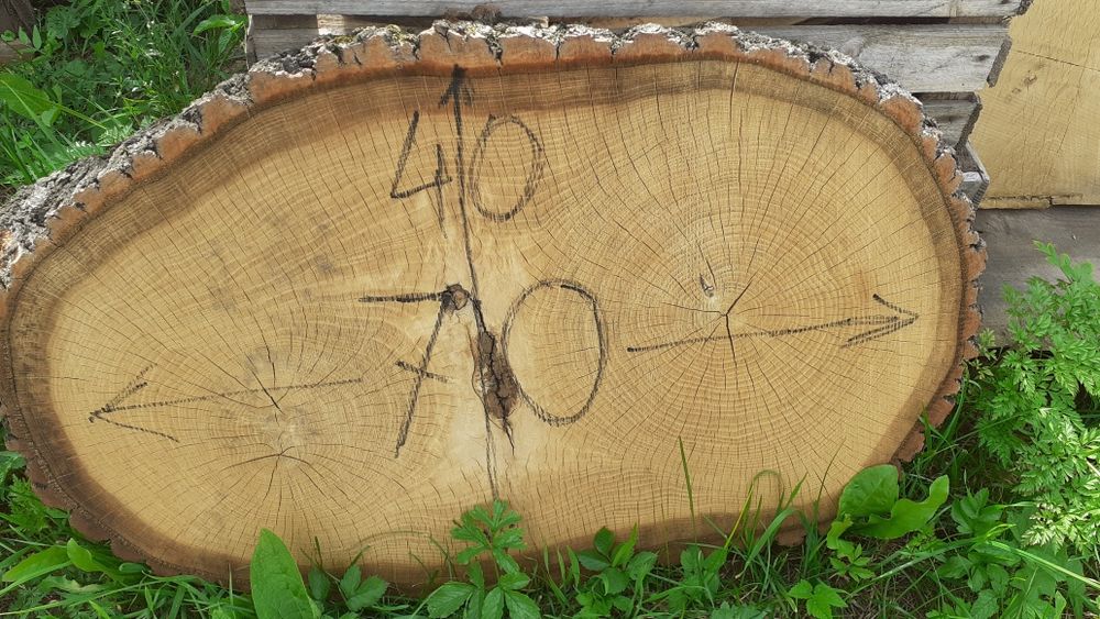 Kantówki przesuszone