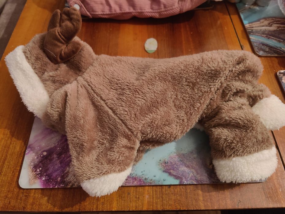 Ubranko dla małego psa