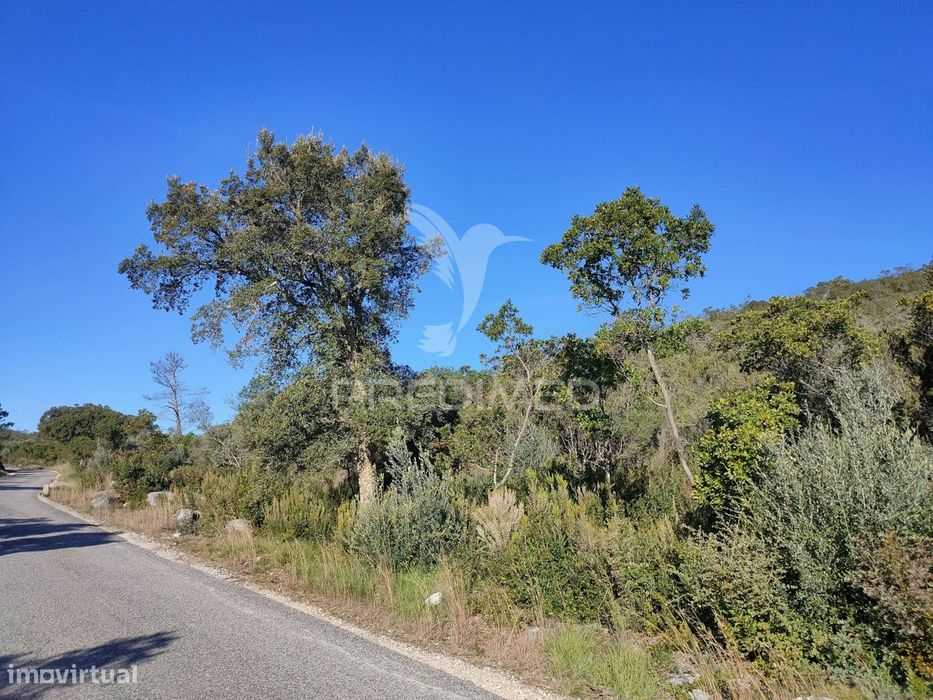 Terreno Rústico - Alcanena