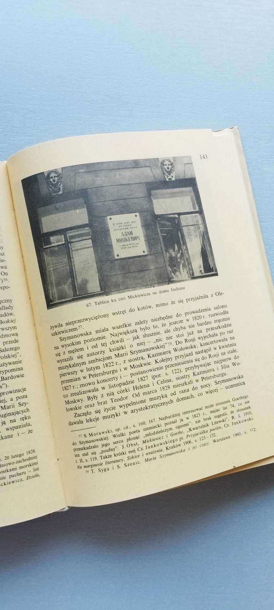 Polacy w Petersburgu - Ludwik Bazylow