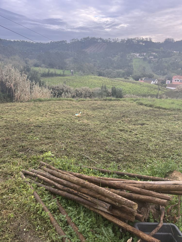 Serviços de Jardinagem limpeza de terrenos