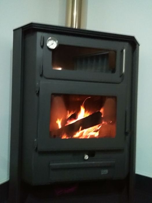 Salamandra em bom estado